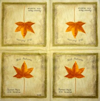 001 Pflanzen - 3 lagig - Molca